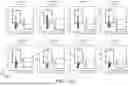 Fig. 30 - COUPLING ENDONUCLEASES WITH END-PROCESSING ENZYMES DRIVES HIGH EFFICIENCY GENE DISRUPTION