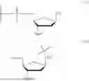 Fig. 05 - OLIGONUCLEOTIDE-TETHERED NUCLEOTIDES