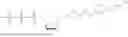 Fig. 20 - OLIGONUCLEOTIDE-TETHERED NUCLEOTIDES