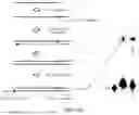 Fig. 45 - OLIGONUCLEOTIDE-TETHERED NUCLEOTIDES