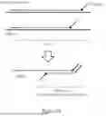 Fig. 47 - OLIGONUCLEOTIDE-TETHERED NUCLEOTIDES