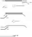 Fig. 50 - OLIGONUCLEOTIDE-TETHERED NUCLEOTIDES