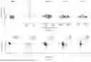 Fig. 05 - FUNCTIONAL GENOMICS USING CRISPR-CAS SYSTEMS FOR SATURATING MUTAGENESIS OF NON-CODING ELEMENTS, COMPOSITIONS, METHODS, LIBRARIES AND APPLICATIONS THEREOF