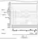 Fig. 12 - FUNCTIONAL GENOMICS USING CRISPR-CAS SYSTEMS FOR SATURATING MUTAGENESIS OF NON-CODING ELEMENTS, COMPOSITIONS, METHODS, LIBRARIES AND APPLICATIONS THEREOF