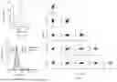 Fig. 17 - FUNCTIONAL GENOMICS USING CRISPR-CAS SYSTEMS FOR SATURATING MUTAGENESIS OF NON-CODING ELEMENTS, COMPOSITIONS, METHODS, LIBRARIES AND APPLICATIONS THEREOF