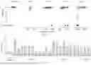 Fig. 18 - FUNCTIONAL GENOMICS USING CRISPR-CAS SYSTEMS FOR SATURATING MUTAGENESIS OF NON-CODING ELEMENTS, COMPOSITIONS, METHODS, LIBRARIES AND APPLICATIONS THEREOF