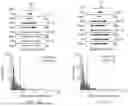 Fig. 35 - FUNCTIONAL GENOMICS USING CRISPR-CAS SYSTEMS FOR SATURATING MUTAGENESIS OF NON-CODING ELEMENTS, COMPOSITIONS, METHODS, LIBRARIES AND APPLICATIONS THEREOF