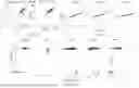 Fig. 58 - FUNCTIONAL GENOMICS USING CRISPR-CAS SYSTEMS FOR SATURATING MUTAGENESIS OF NON-CODING ELEMENTS, COMPOSITIONS, METHODS, LIBRARIES AND APPLICATIONS THEREOF