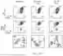 Fig. 60 - FUNCTIONAL GENOMICS USING CRISPR-CAS SYSTEMS FOR SATURATING MUTAGENESIS OF NON-CODING ELEMENTS, COMPOSITIONS, METHODS, LIBRARIES AND APPLICATIONS THEREOF