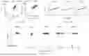 Fig. 77 - FUNCTIONAL GENOMICS USING CRISPR-CAS SYSTEMS FOR SATURATING MUTAGENESIS OF NON-CODING ELEMENTS, COMPOSITIONS, METHODS, LIBRARIES AND APPLICATIONS THEREOF