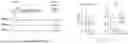 Fig. 91 - FUNCTIONAL GENOMICS USING CRISPR-CAS SYSTEMS FOR SATURATING MUTAGENESIS OF NON-CODING ELEMENTS, COMPOSITIONS, METHODS, LIBRARIES AND APPLICATIONS THEREOF