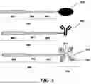 Fig. 09 - METHODS AND SYSTEMS FOR ENGINEERING ANTIBODIES, AND ANTIGEN-BINDING FRAGMENTS THEREOF, TO HAVE ALTERED CHARACTERISTICS
