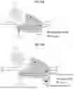 Fig. 08 - GENE EDITING SYSTEMS COMPRISING A CRISPR NUCLEASE AND USES THEREOF