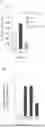 Fig. 07 - ISOLATED DOUBLE STRANDED DNA POLYNUCLEOTIDE