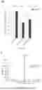 Fig. 10 - ISOLATED DOUBLE STRANDED DNA POLYNUCLEOTIDE