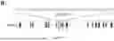Fig. 11 - ISOLATED DOUBLE STRANDED DNA POLYNUCLEOTIDE