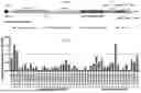 Fig. 02 - Antisense Oligonucleotides Targeting SARS-CoV-2