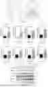 Fig. 06 - APPLICATION OF VEGFR GENE EXPRESSION INHIBITOR IN PREPARING PREPARATION OR AS PREPARATION FOR TREATING PSORIASIS