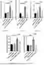Fig. 18 - APPLICATION OF VEGFR GENE EXPRESSION INHIBITOR IN PREPARING PREPARATION OR AS PREPARATION FOR TREATING PSORIASIS