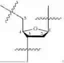 Fig. 02 - OLIGONUCLEOTIDE COMPOSITIONS AND METHODS THEREOF