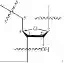 Fig. 03 - OLIGONUCLEOTIDE COMPOSITIONS AND METHODS THEREOF