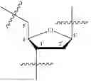 Fig. 05 - OLIGONUCLEOTIDE COMPOSITIONS AND METHODS THEREOF