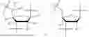 Fig. 06 - OLIGONUCLEOTIDE COMPOSITIONS AND METHODS THEREOF