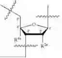 Fig. 07 - OLIGONUCLEOTIDE COMPOSITIONS AND METHODS THEREOF