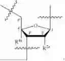 Fig. 09 - OLIGONUCLEOTIDE COMPOSITIONS AND METHODS THEREOF