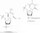 Fig. 20 - OLIGONUCLEOTIDE COMPOSITIONS AND METHODS THEREOF