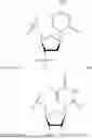 Fig. 24 - OLIGONUCLEOTIDE COMPOSITIONS AND METHODS THEREOF