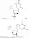 Fig. 26 - OLIGONUCLEOTIDE COMPOSITIONS AND METHODS THEREOF