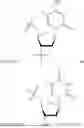 Fig. 32 - OLIGONUCLEOTIDE COMPOSITIONS AND METHODS THEREOF