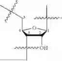 Fig. 03 - OLIGONUCLEOTIDE COMPOSITIONS AND METHODS THEREOF