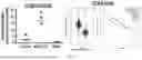 Fig. 45 - N-ACRYLOYLINDOLES AND METHODS OF USE