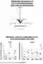 Fig. 46 - N-ACRYLOYLINDOLES AND METHODS OF USE