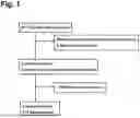 Fig. 02 - Inspection Method Enabling Specific Diagnosis of Pathological State of Diabetic Nephropathy at Early Stage