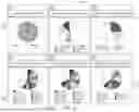 Fig. 10 - SYSTEMS AND METHODS FOR UNCERTAINTY MEASUREMENT AND REPORTING FOR EMISSIONS
