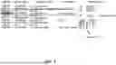 Fig. 04 - METHOD AND APPARATUS FOR DETECTING MALICIOUSNESS OF NON-PORTABLE EXECUTABLE FILE BY CHANGING EXECUTING FLOW OF APPLICATION PROGRAM