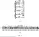 Fig. 09 - METHODS FOR DETECTING BIALLLIC LOSS OF FUNCTION IN NEXT-GENERATION SEQUENCING GENOMIC DATA