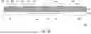 Fig. 06 - ELECTRONIC DEVICE