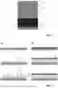 Fig. 02 - Artificial Solid-Electrolyte Interphase Layer Material and Uses Thereof