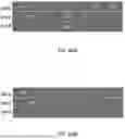 Fig. 74 - System, method, and apparatus for providing dynamic, prioritized spectrum management and utilization
