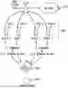 Fig. 01 - AUTOMATED METHOD AND SYSTEM FOR EVALUATING MOBILE APPLICATIONS TO FACILITATE NETWORK AND/OR APPLICATION REMEDIATION