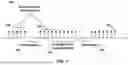Fig. 02 - Random access response window configuration