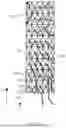 Fig. 07 - DISPLAY SUBSRATE AND DISPLAY DEVICE