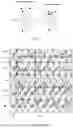 Fig. 09 - DISPLAY SUBSRATE AND DISPLAY DEVICE