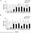 Fig. 09 - DOWN-REGULATION OF ENDOGENOUS GENES