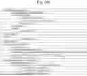 Fig. 149 - SYSTEM FOR ARTIFICIAL VISION