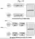 Fig. 205 - SYSTEM FOR ARTIFICIAL VISION